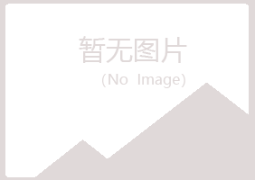 黑龙江夏日咨询有限公司